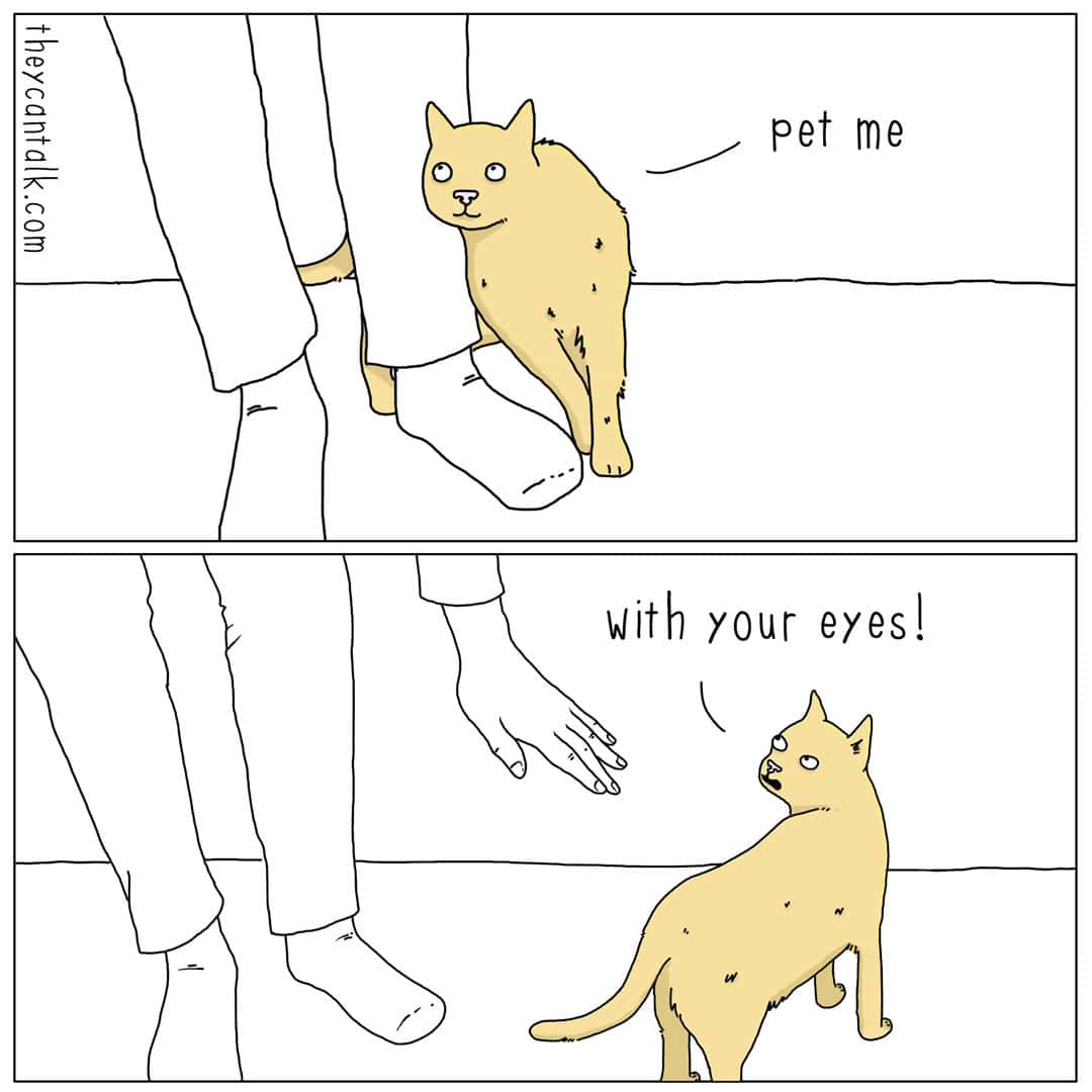 A two-panel they can talk comic illustrating the fickle nature of felines. A cat rubs against a human's leg saying, "pet me," but when the human reaches down to touch it, the cat snaps back, "with your eyes!" This sassy animal personality is reminiscent of a liz climo comic.