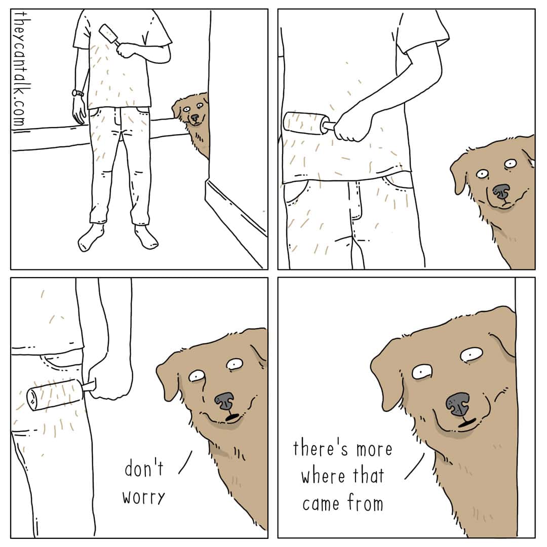 A four-panel they can talk comic showing a human desperately using a lint roller on their pants to remove pet hair. A dog peeks around the corner with a wide-eyed, mischievous grin and says, "don't worry... there's more where that came from," a sentiment fans of a liz climo comic will appreciate.