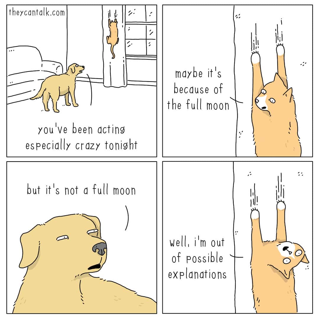 A hilarious four-panel they can talk comic where a dog confronts a cat hanging from the curtains. The dog suggests the cat is acting "especially crazy" because of a full moon, but when the dog realizes it's not a full moon, the cat flatly replies, "well, i'm out of possible explanations." It delivers the gentle irony seen in a liz climo comic.