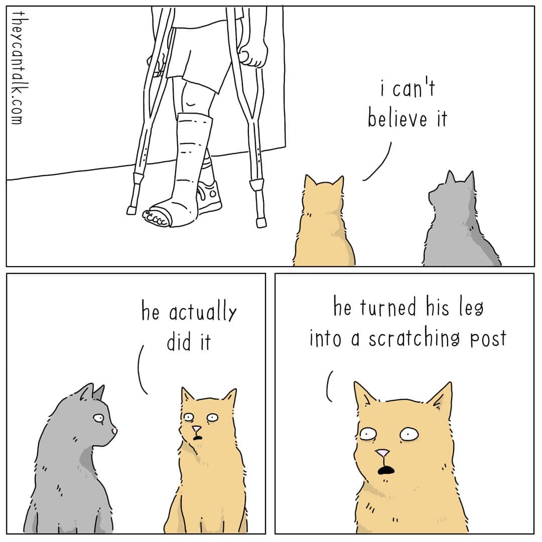 A three-panel they can talk comic featuring two cats watching their human walk past with a leg cast and crutches. One cat whispers in awe, "i can't believe it... he actually did it... he turned his leg into a scratching post." This animal-centric perspective is a hallmark of a liz climo comic.
