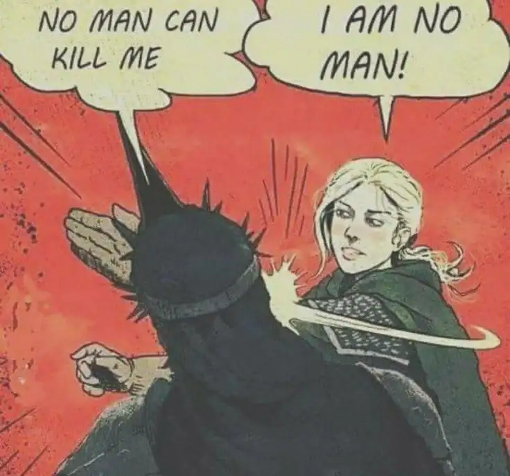 comedic lotr meme illustration showing Eowyn delivering a massive backhand slap to the Witch-king of Angmar. Speech bubbles capture the iconic dialogue: "NO MAN CAN KILL ME," followed by her fierce reply, "I AM NO MAN!"