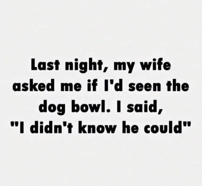 Text joke about husband responding to "have you seen the dog bowl" with "I didn't know he could"