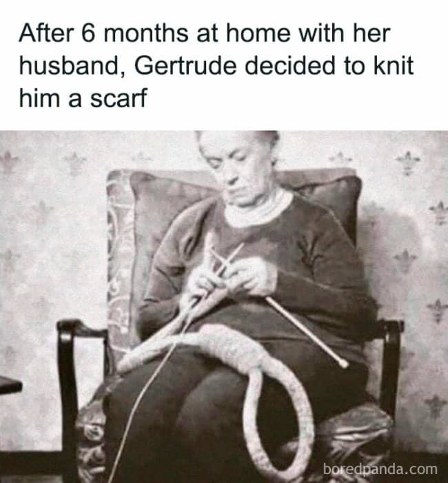 Vintage photo of old woman knitting an extremely long scarf after six months home with husband