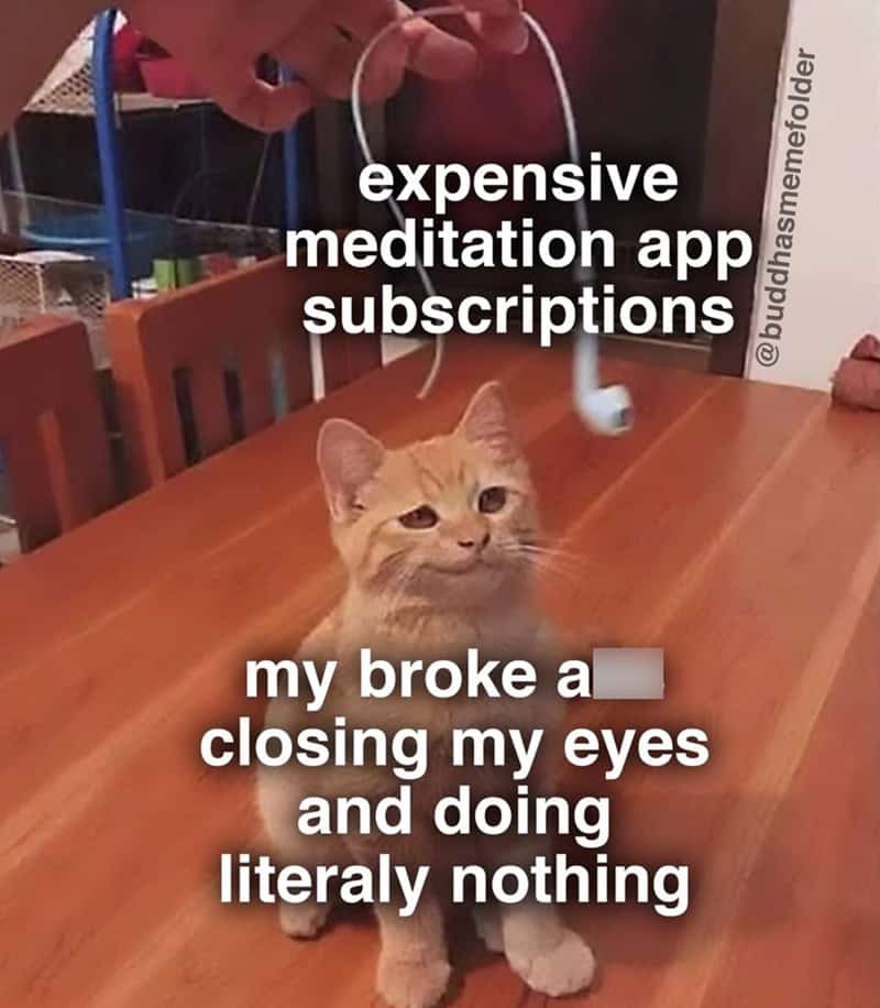 A relatable meditation meme showing a tiny orange kitten. The top text mocks "expensive meditation app subscriptions," while the bottom text highlights the user's "broke a**" alternative: closing their eyes and doing absolutely nothing for free.