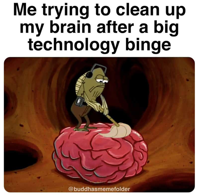 meditation meme using a SpongeBob SquarePants still of Fred the fish mopping a giant, realistic human brain. It represents the exhausting effort of "cleaning up" the mind after a massive technology binge.