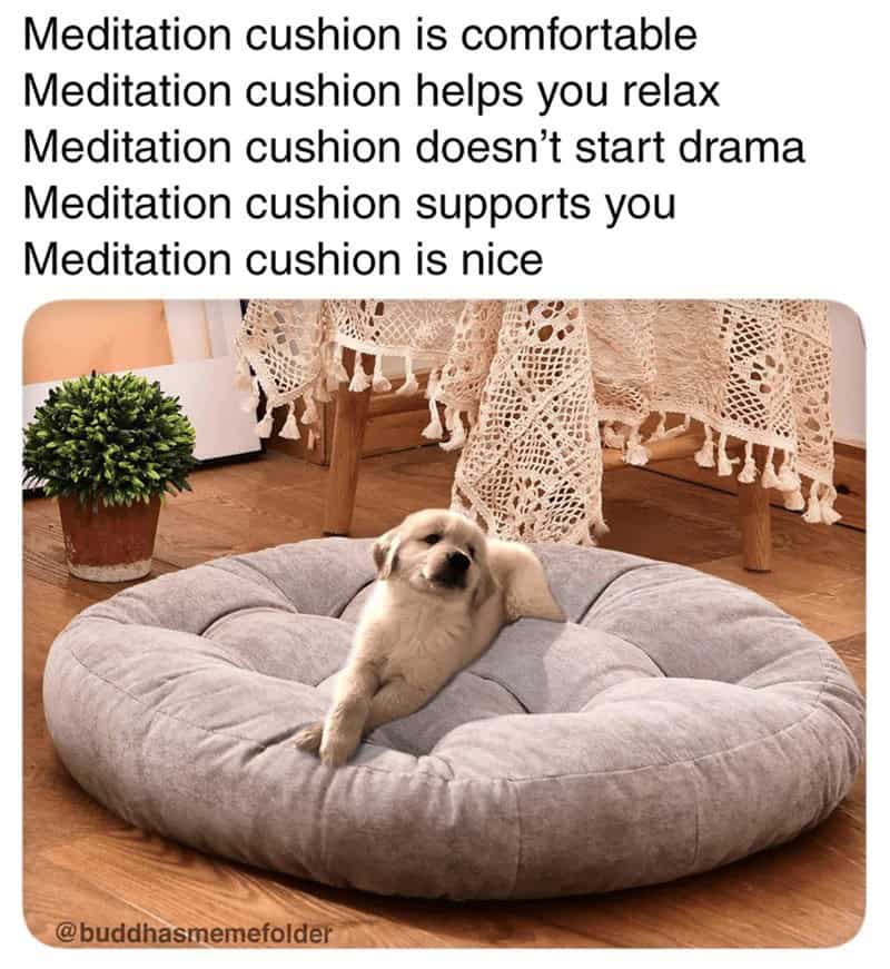 A wholesome meditation meme showing a tiny golden retriever puppy lounging on a massive, round grey floor cushion. The text praises the "meditation cushion" for being comfortable, helpful, nice, and—most importantly—never starting any drama.