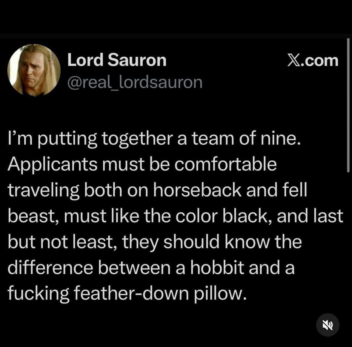 hilarious Twitter post from "Lord Sauron" recruiting for the Nazgûl. The text specifies requirements for a team of nine, including horseback riding, a preference for the color black, and the ability to distinguish Hobbits from feather-down pillows—a nod to the iconic scene in Bree.