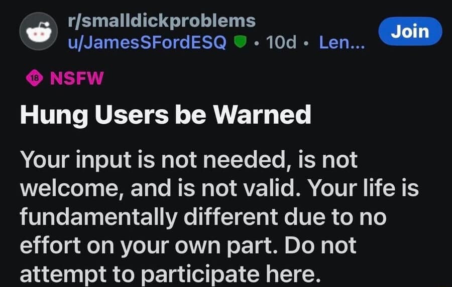 A screenshot from the Reddit community r/smalldickproblems labeled NSFW. User u/JamesSFordESQ issues a blunt warning to "Hung Users," stating that their input is not needed or valid because their life is fundamentally different due to no effort on their own part.