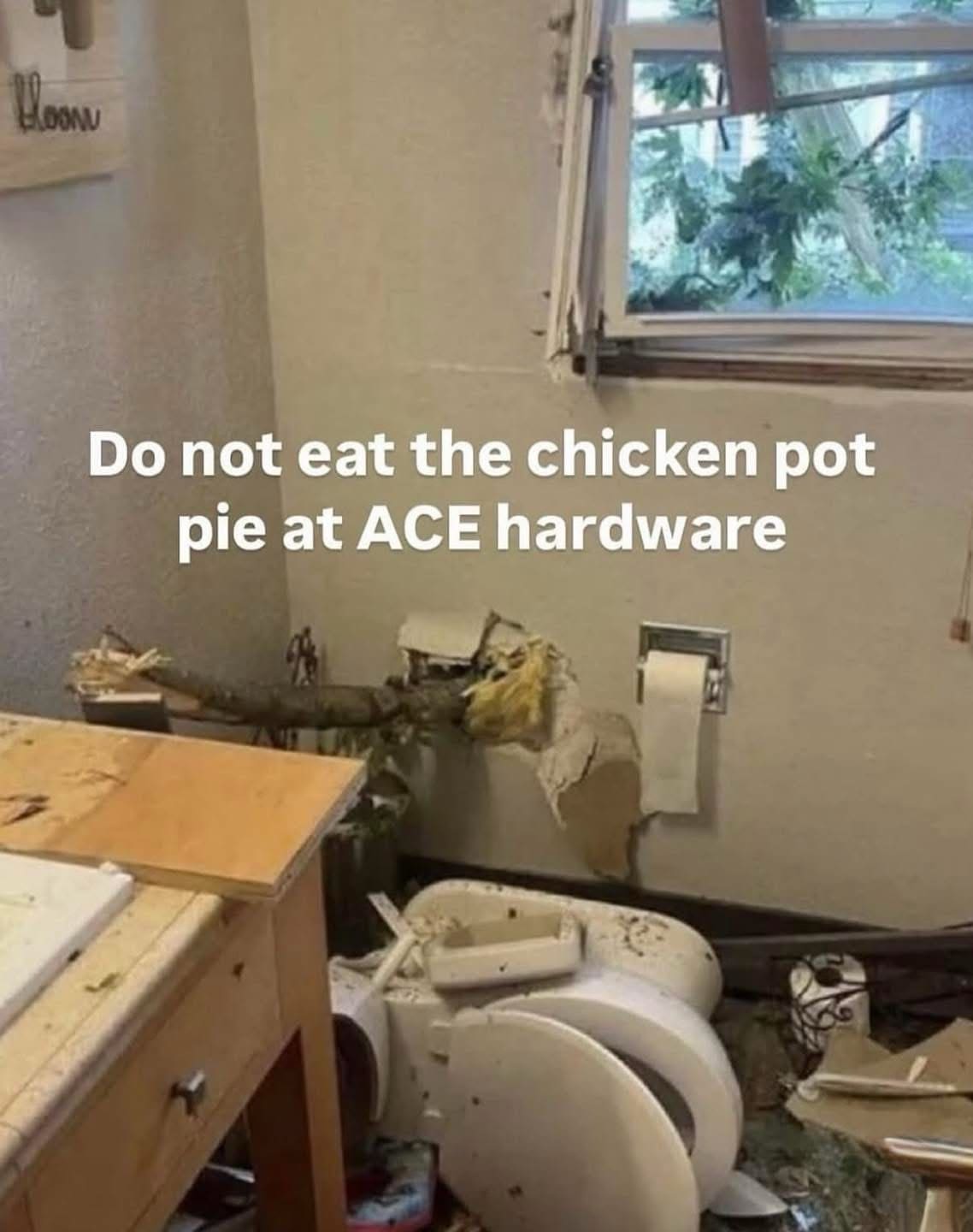 meme dump warning showing a bathroom in total ruin; a massive tree limb has smashed through the wall and window, shattering the toilet. The text deadpans: "Do not eat the chicken pot pie at ACE hardware."