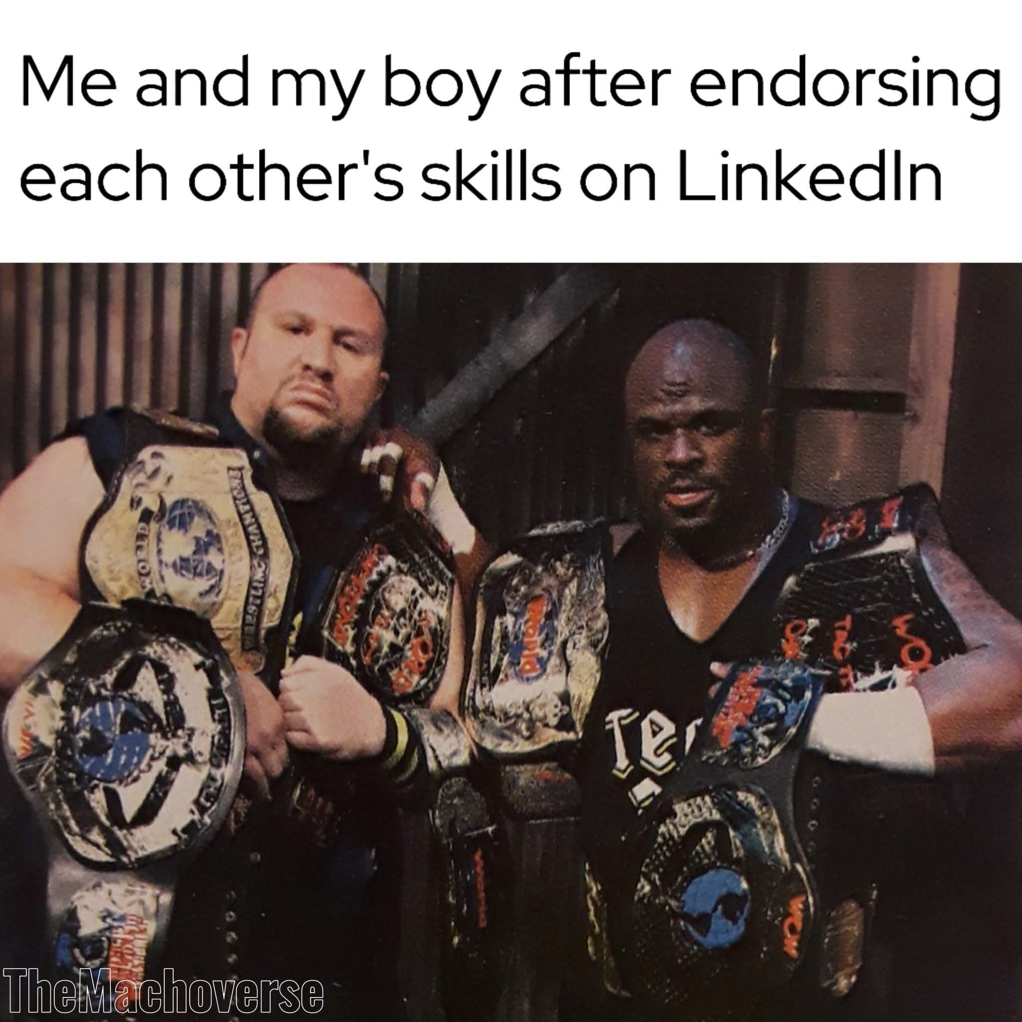 funny meme featuring a classic photo of pro-wrestling legends The Dudley Boyz. Bubba Ray and D-Von stand side-by-side, draped in nearly a dozen championship belts. The caption likens their gold-covered triumph to the feeling of two bros endorsing each other's skills on LinkedIn.