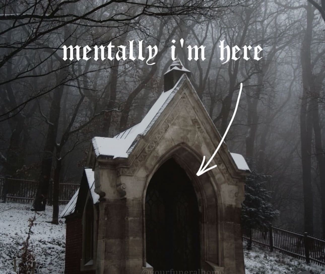 A moody meme dump image of a small, stone gothic-style mausoleum nestled in a foggy, leafless winter forest. A white arrow points into the dark, hollow doorway with the text "mentally i'm here" written in a sharp, stylized font.