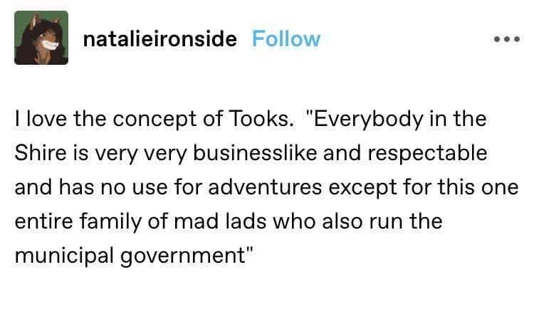A meme dump screenshot of a Tumblr post by natalieiironside detailing the hilarious irony of the Took family in The Lord of the Rings. The text describes how the Shire is supposedly respectable and businesslike, yet is governed by an entire family of "mad lads" who love dangerous adventures.