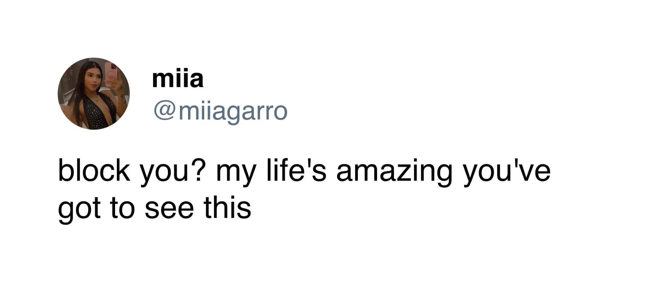 A power-move funny meme tweet from user @miia that subverts the typical response to online toxicity. The text reads: "block you? my life's amazing you've got to see this," reframing the "hater" as a forced spectator to her success.