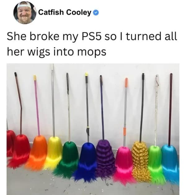 The ultimate act of petty revenge in a hilarious meme. A row of mops is shown against a wall, but the mop heads have been replaced with a variety of colorful, neon-styled wigs.