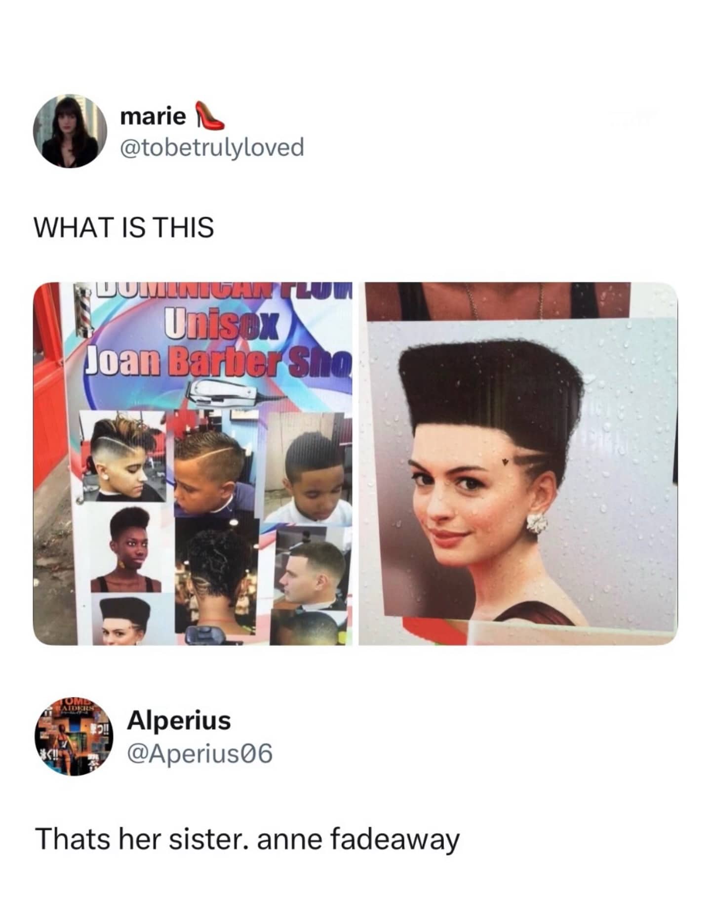 meme dump screenshot showing a barber shop poster where Anne Hathaway’s face has been poorly photoshopped onto a model with a high-top fade and shaved designs. A commenter jokingly identifies her as Anne Hathaway's sister, "Anne Fadeaway."