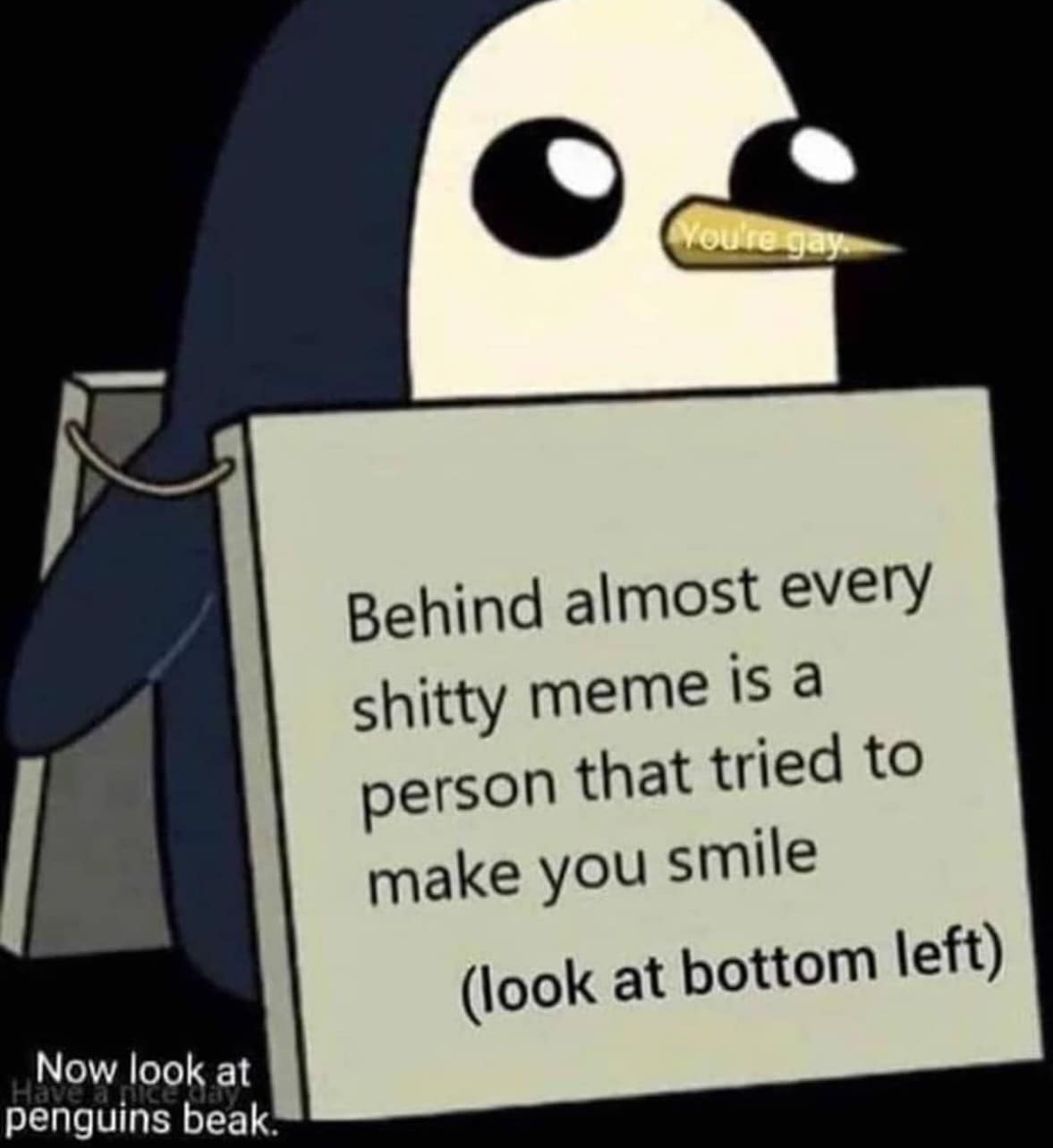 A bait-and-switch funny meme featuring Gunter the penguin from Adventure Time. He holds a sign that reads, "Behind almost every shitty meme is a person that tried to make you smile," directing the viewer to the bottom left corner. The final "gotcha" is a tiny gold message on the penguin’s beak that simply says, "You're gay."