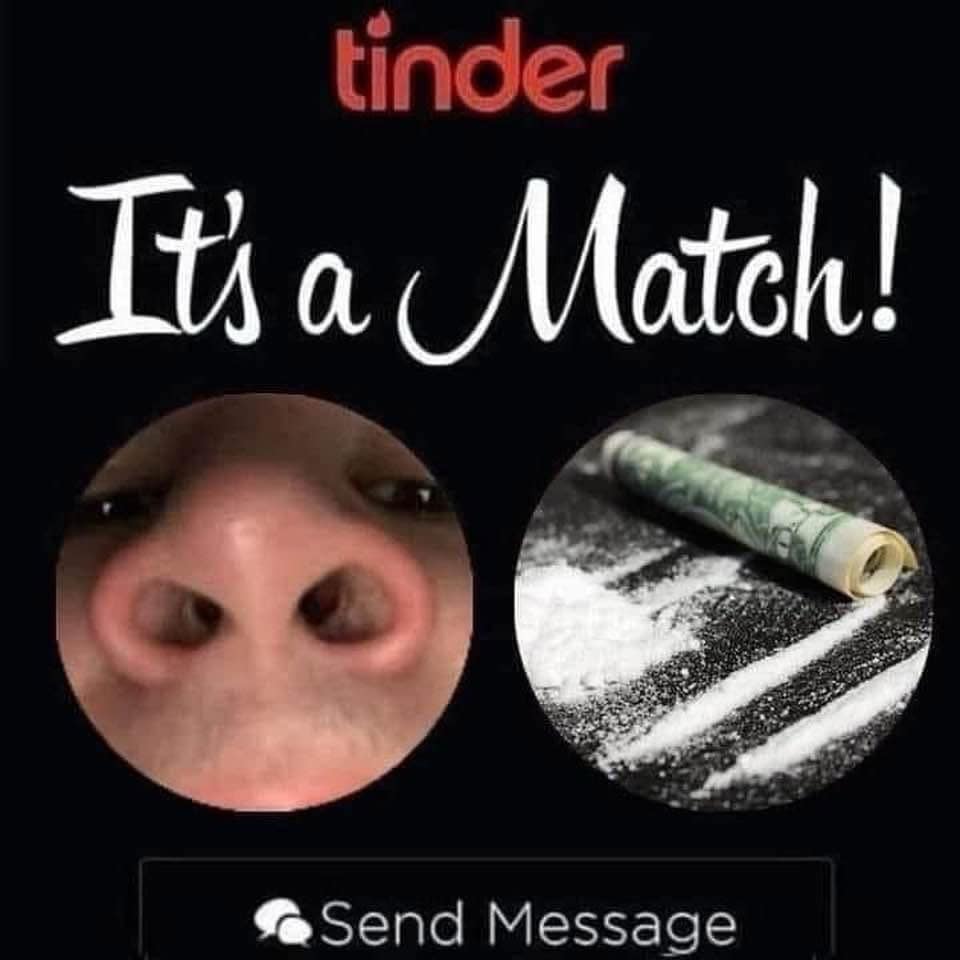 A hilarious meme dump image styled as a Tinder "It's a Match!" notification. The two circular profile pictures show a close-up of a human nose with large nostrils paired with a photo of a rolled-up dollar bill and lines of white powder, suggesting a perfect, if problematic, match.