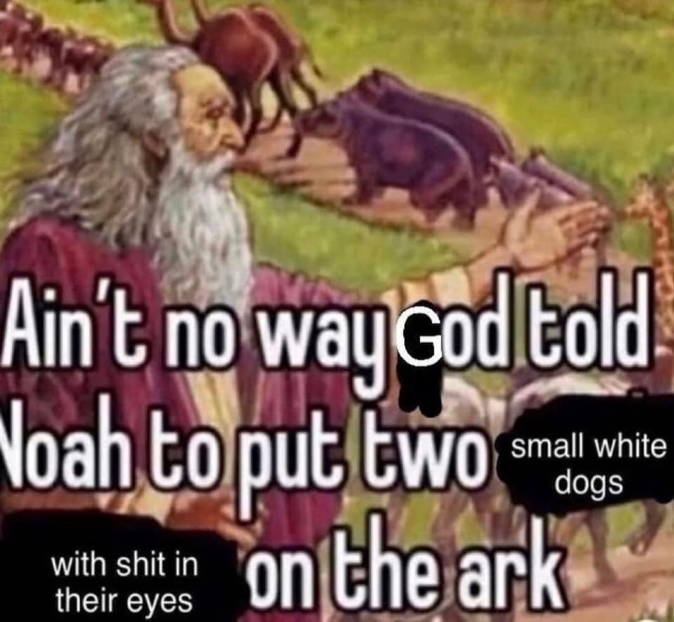 A humorous religious parody featuring a classic painting of Noah leading animals toward the ark. The added text hilariously questions the biblical narrative, asking if God really insisted that Noah save two small white dogs with permanent tear stains in their eyes.