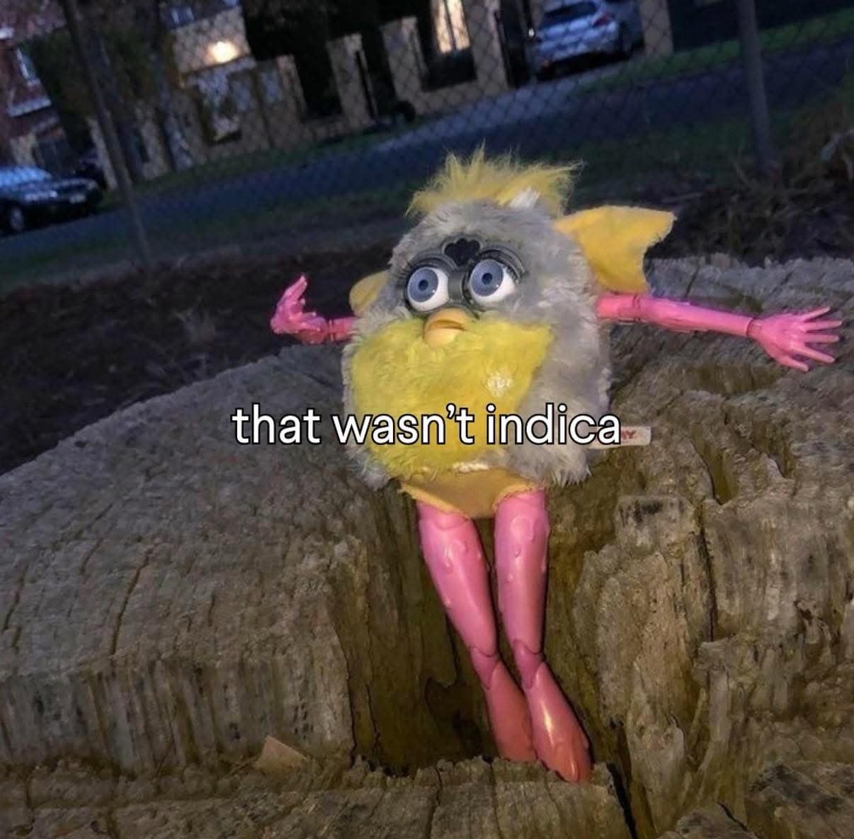 cursed and hilarious meme featuring a Furby toy that has been modified with long, realistic pink human legs. The Furby is perched inside a hollowed-out tree stump under the text: "that wasn't indica," referencing a bad reaction to a specific strain of cannabis.