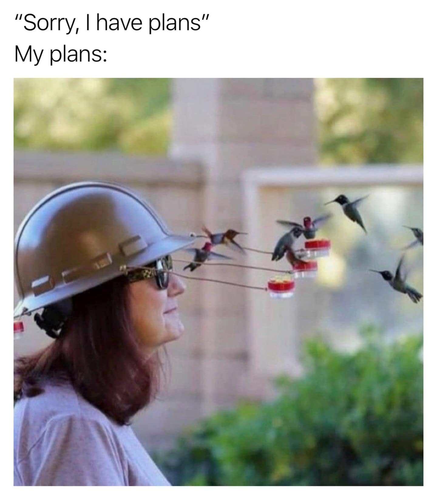 "highly committed" meme dump photo of a woman in sunglasses wearing a hard hat that has been modified with wires extending several feet out, holding miniature red bird feeders. Half a dozen hummingbirds are hovering and feeding right in front of her face. The caption reads: "'Sorry, I have plans' My plans:".