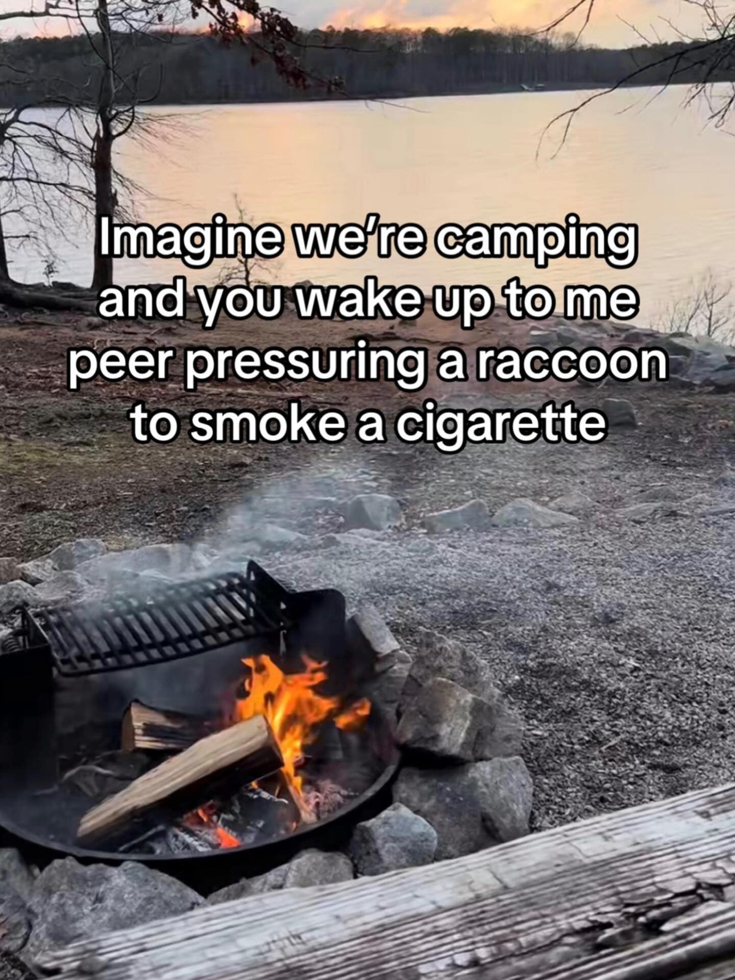 An absurdist funny meme featuring a photo of a serene campfire by a lake at sunset. The chaotic text overlay asks the viewer to "Imagine we’re camping and you wake up to me peer pressuring a raccoon to smoke a cigarette," leaning into the "unhinged outdoor" aesthetic.
