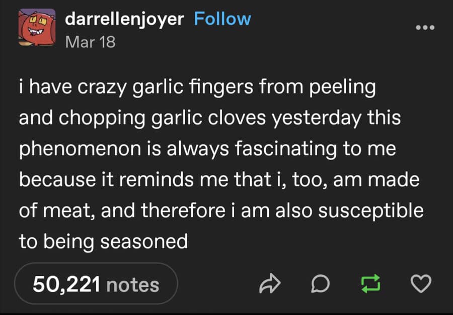 A philosophical meme dump post from Tumblr user darrellenjoyer. After a long day of cooking, they realize their hands smell like garlic, leading to the existential epiphany that as creatures "made of meat," humans are also "susceptible to being seasoned."