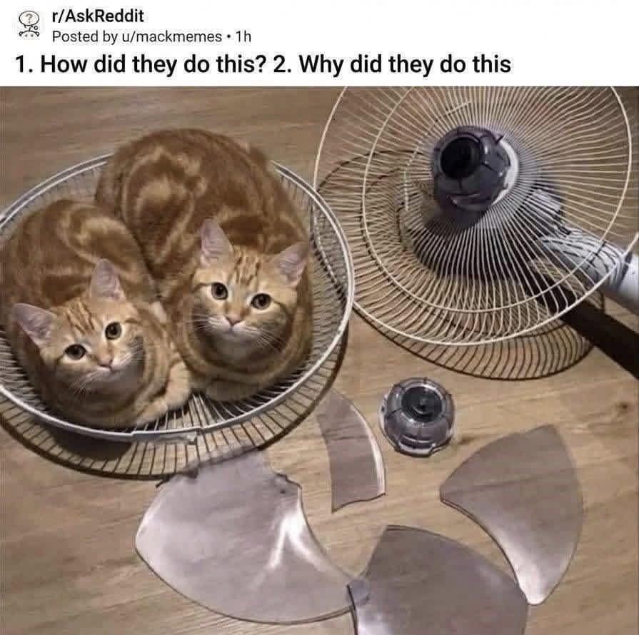 A chaotic meme dump entry showing two ginger cats sitting comfortably inside the metal cage of a floor fan that they have completely destroyed. The fan blades are shattered on the floor, and the caption asks r/AskReddit how and why they managed this level of destruction.