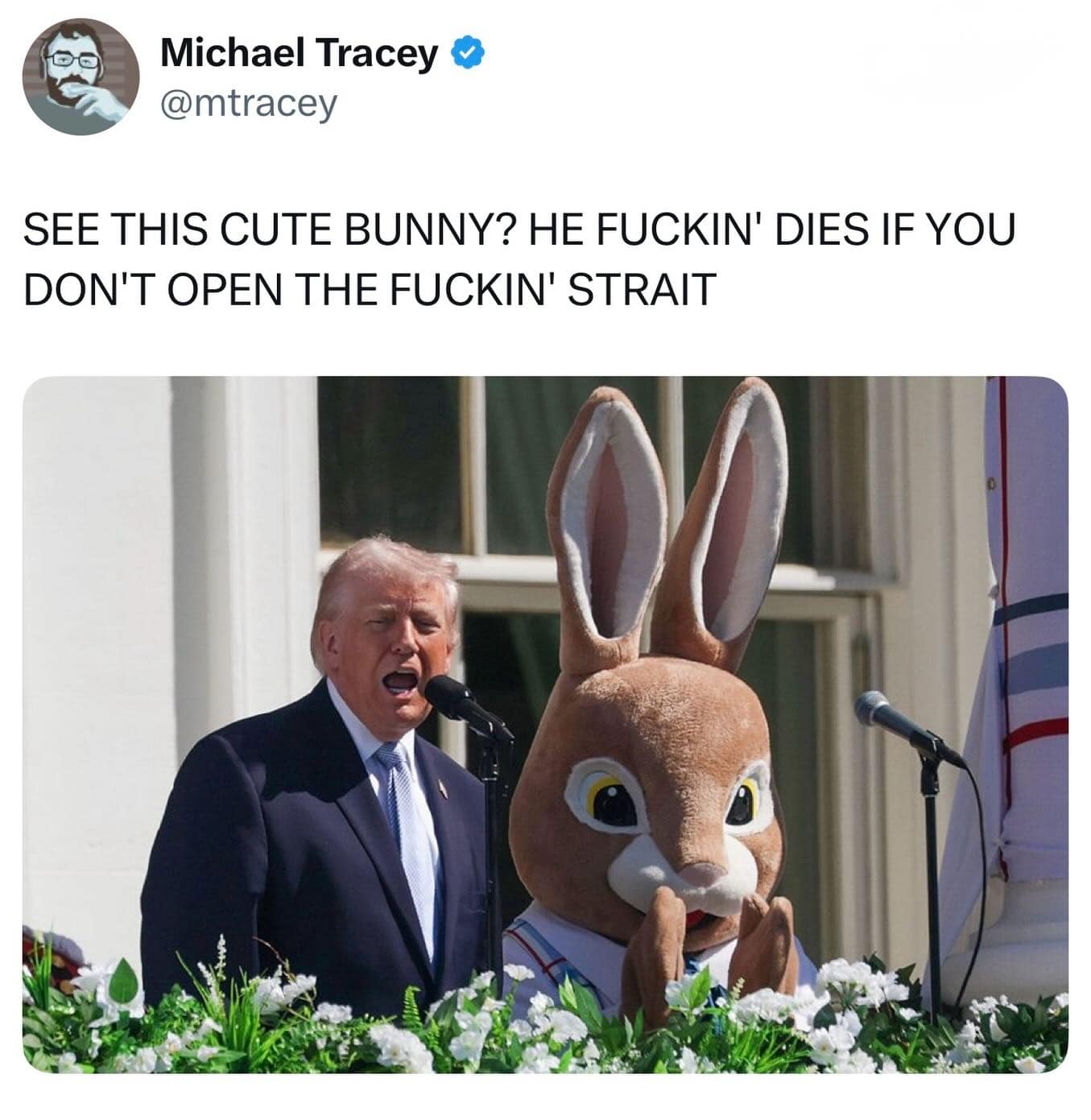 A high-tension funny meme tweet from Michael Tracey featuring Donald Trump shouting at a podium next to a person in a large Easter Bunny suit. The caption screams: "SEE THIS CUTE BUNNY? HE FUCKIN' DIES IF YOU DON'T OPEN THE F*CKIN' STRAIT."