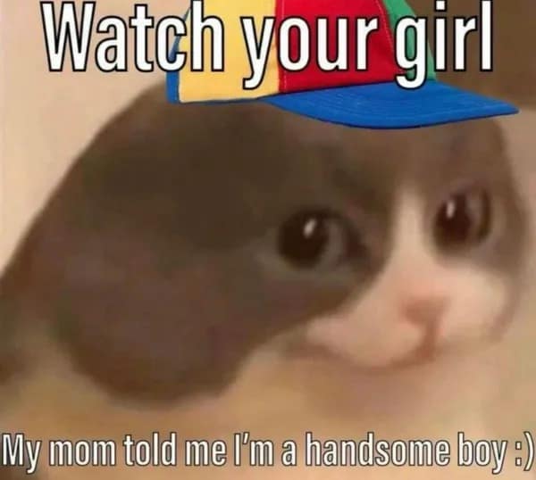 A blurry, low-quality cat meme featuring a feline wearing a colorful propeller hat with the aggressive swagger text: "Watch your girl. My mom told me I’m a handsome boy :)"