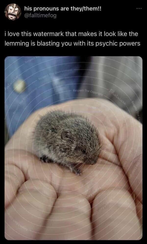 A hilarious meme dump photo of a tiny, fuzzy lemming sitting in a human hand. Because of a circular, concentric-ring watermark over the image, it looks like the lemming is a powerful telepath "blasting you with its psychic powers."