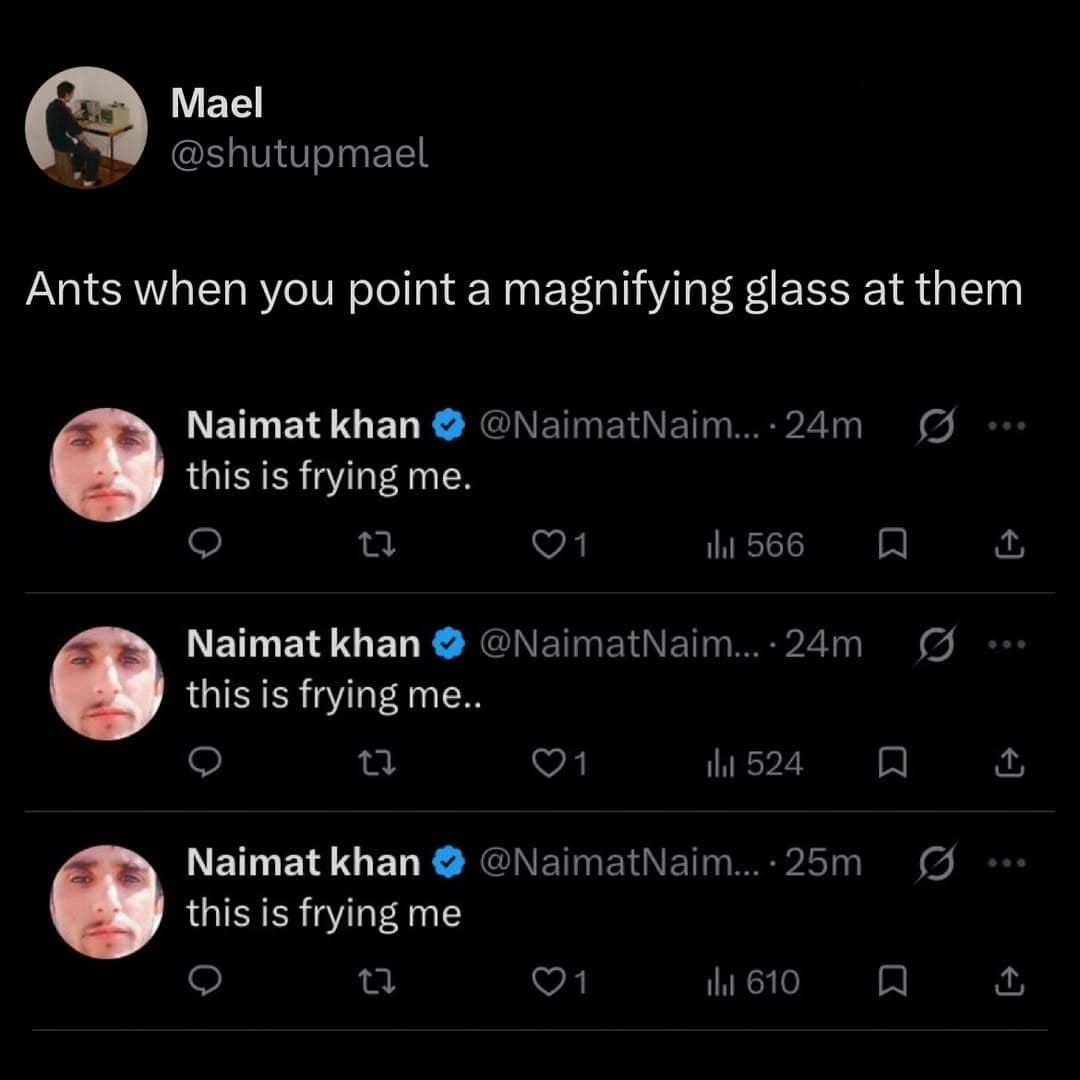 meta funny meme tweet with the setup: "Ants when you point a magnifying glass at them." The punchline is a series of three identical notifications from a user named Naimat khan, all saying, "this is frying me."
