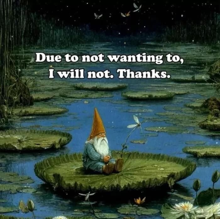 A high-octane "vibe" meme dump featuring an illustration of a tiny garden gnome sitting peacefully on a giant lily pad in a dark swamp. The text above him is the ultimate boundary-setting mantra: "Due to not wanting to, I will not. Thanks."