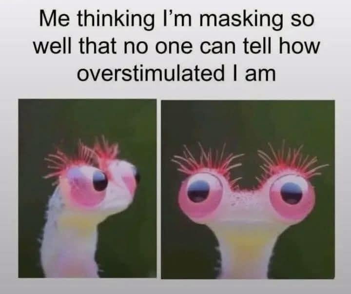 A meme dump visual about neurodivergence and social anxiety. It features two panels of a wide-eyed, pink-eyelashed creature looking startled. The text reads: "Me thinking I’m masking so well that no one can tell how overstimulated I am."