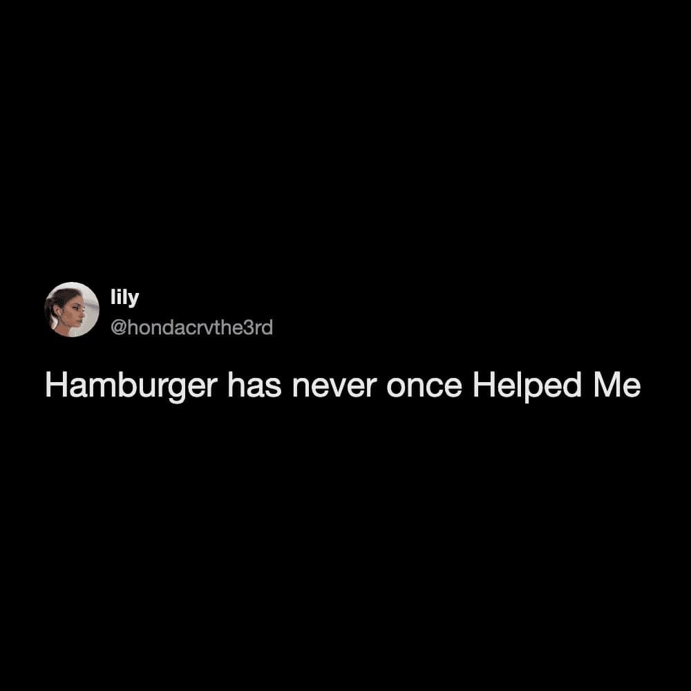 A minimalist hilarious meme tweet from user lily bluntly states that a hamburger has never once provided her with any genuine help, subverting the idea of comfort food.