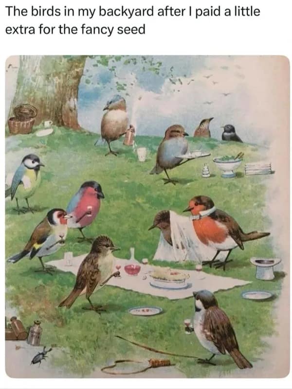 A whimsical vintage illustration from a hilarious meme showing backyard birds holding wine glasses and having an elegant picnic on a white blanket because their owner decided to pay extra for the "fancy" birdseed.