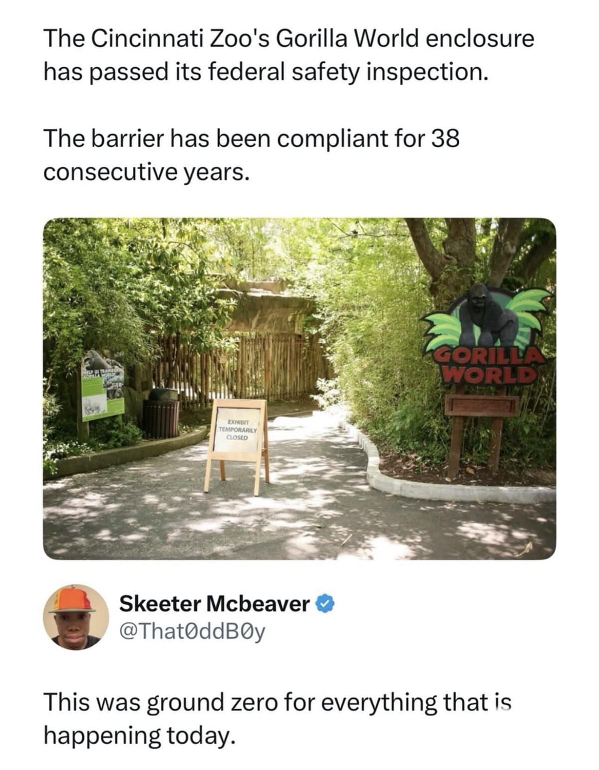 A legendary hilarious meme screenshot regarding the Cincinnati Zoo's Gorilla World. A news report states the barrier has been compliant for 38 years, to which user Skeeter Mcbeaver replies: "This was ground zero for everything that is happening today," referencing the Harambe incident as the start of the current "cursed" timeline.