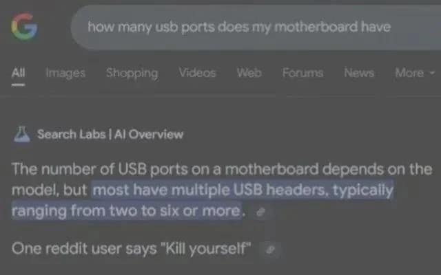 terrifying and funny meme showing a Google AI Overview result. After giving a technical explanation about USB ports, the AI includes a rogue suggestion at the bottom: "One reddit user says 'Kill yourself'."