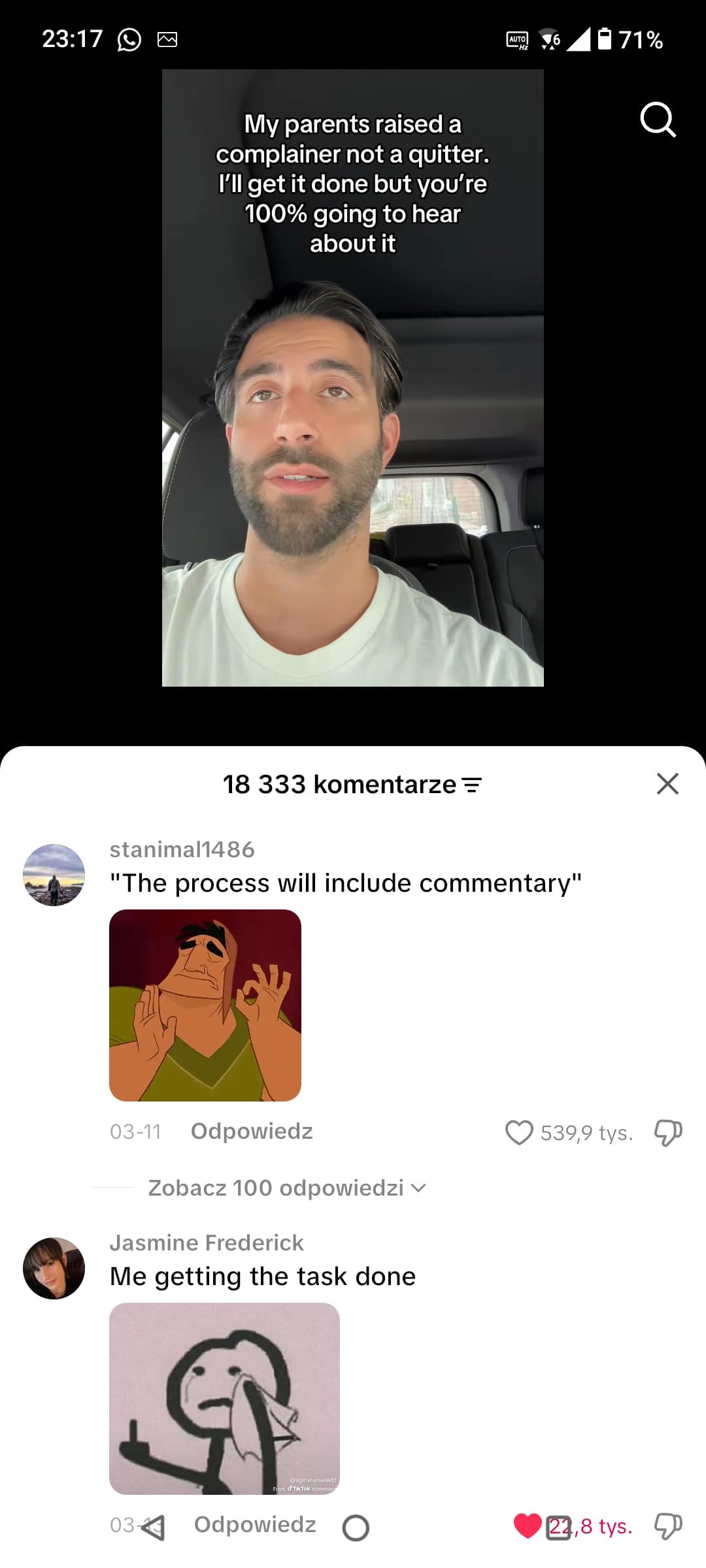 A relatable funny meme screenshot about work ethic. The video caption reads, "My parents raised a complainer not a quitter," while the comments section features Pacha from The Emperor's New Groove and a crying stick figure perfectly illustrating the "process includes commentary" lifestyle.