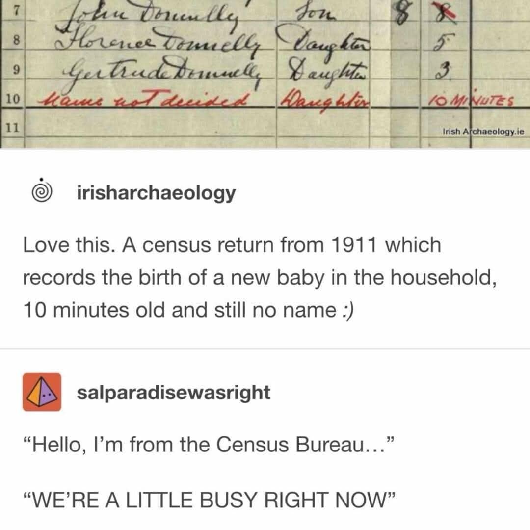 A historical meme dump post showing an actual 1911 census return. The document shows a ten-minute-old baby girl whose "Name is not decided," leading users to imagine a Census Bureau agent showing up mid-labor to demand paperwork.