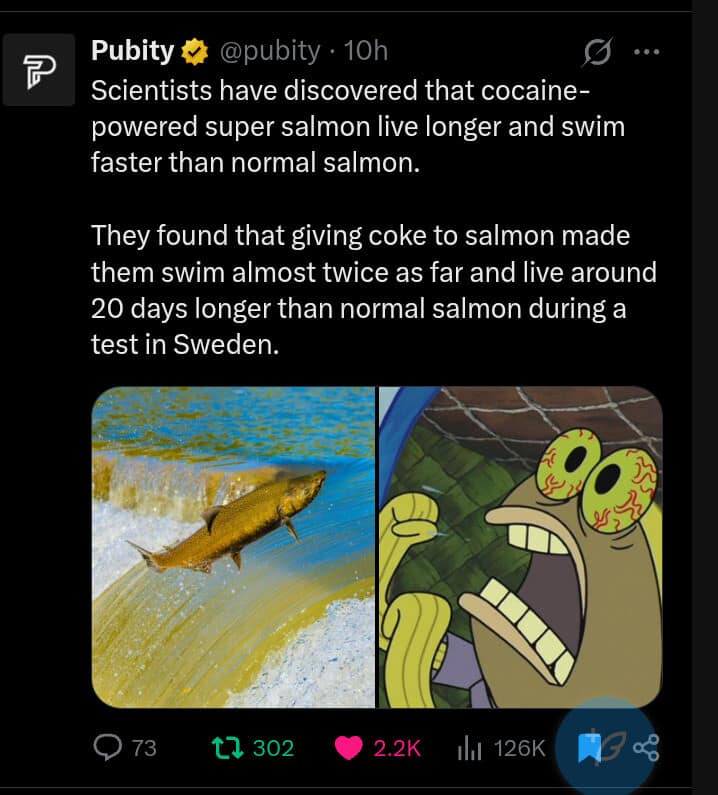 A chaotic hilarious meme reporting that scientists in Sweden created "cocaine-powered super salmon" that swim faster and live longer. The post is paired with a shot of a crazed, bloodshot-eyed fish character from Spongebob Squarepants to illustrate the "super salmon" energy.
