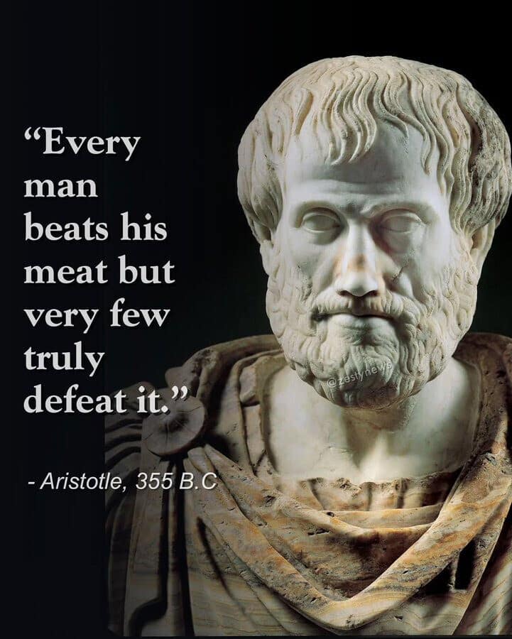 A low-brow philosophical meme dump featuring a classic marble bust of Aristotle. The superimposed text features a fake, crude quote: "Every man beats his meat but very few truly defeat it," jokingly attributed to the philosopher in 355 B.C.