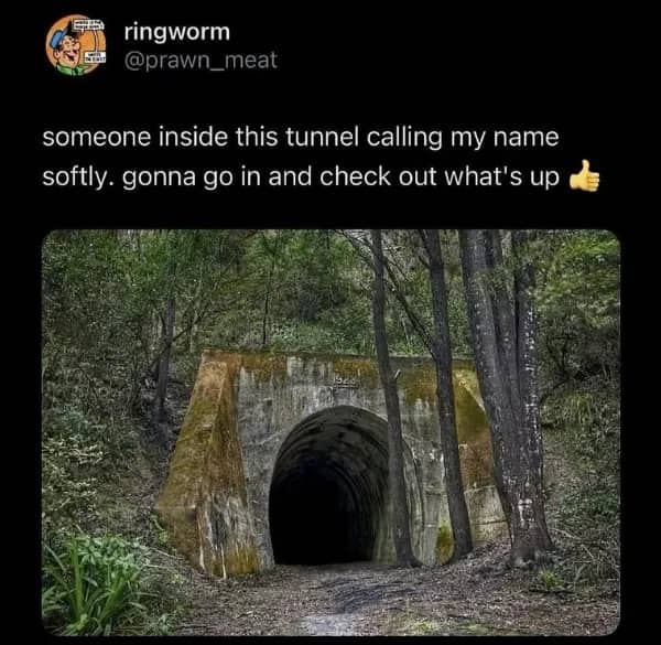 A funny meme featuring a dark, ominous concrete tunnel entrance in the middle of a forest. Above the photo, a tweet from user ringworm says someone inside is calling their name softly and they are going in to "check out what's up."