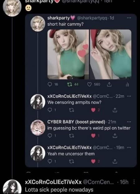A meta meme dump screenshot of a Twitter thread where a Cammy cosplayer censored her armpits with heart emojis. The comments devolve into a hilarious realization that the internet has become so weird that armpits now require a "parental advisory" sticker.