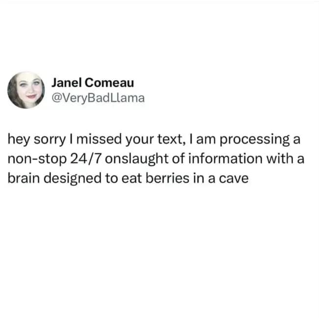relatable text-based meme dump entry by Janel Comeau. It offers a perfectly valid excuse for a late reply: "hey sorry I missed your text, I am processing a non-stop 24/7 onslaught of information with a brain designed to eat berries in a cave."