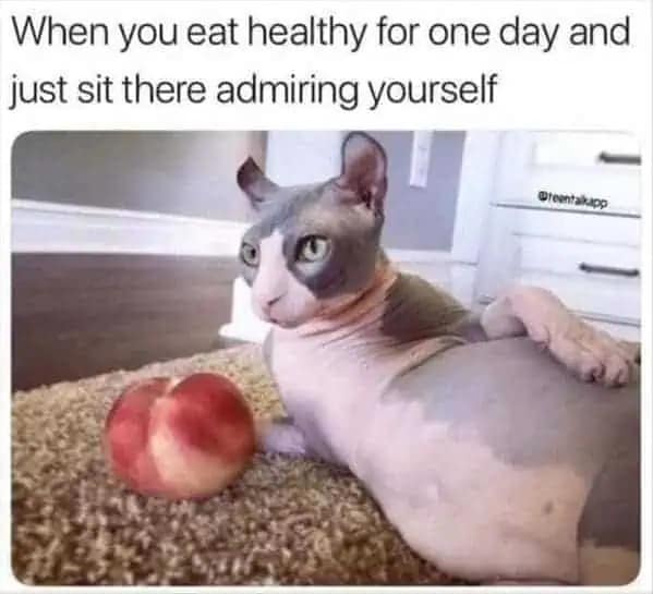 A self-deprecating meme dump photo of a wrinkly, hairless Sphynx cat reclining regally next to a single peach on a beige carpet. The text reads: "When you eat healthy for one day and just sit there admiring yourself."