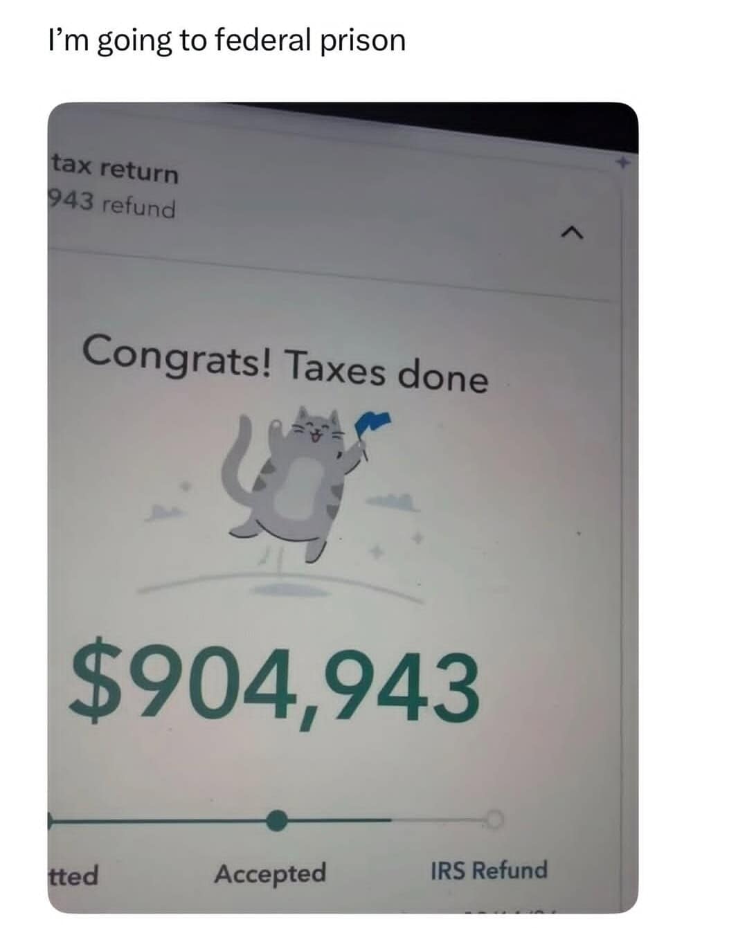 A meme dump screenshot of a tax software "Congrats!" screen featuring a cheerful cartoon cat holding a flag. The federal tax refund amount is an absurdly high $904,943, leading the user to caption the image with the realization: "I’m going to federal prison."