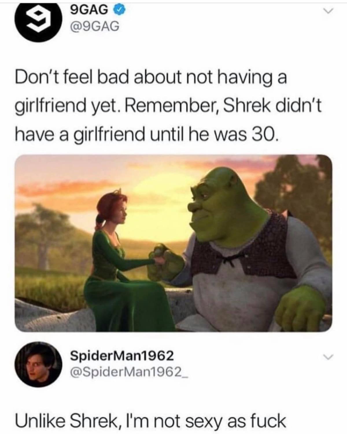 A hilarious meme contrasting the romantic success of an ogre with the average single person. While 9GAG attempts to offer comfort by noting Shrek didn't find Fiona until 30, user Spiderman1962 shuts it down by pointing out that, unlike himself, Shrek is "sexy as f*ck."