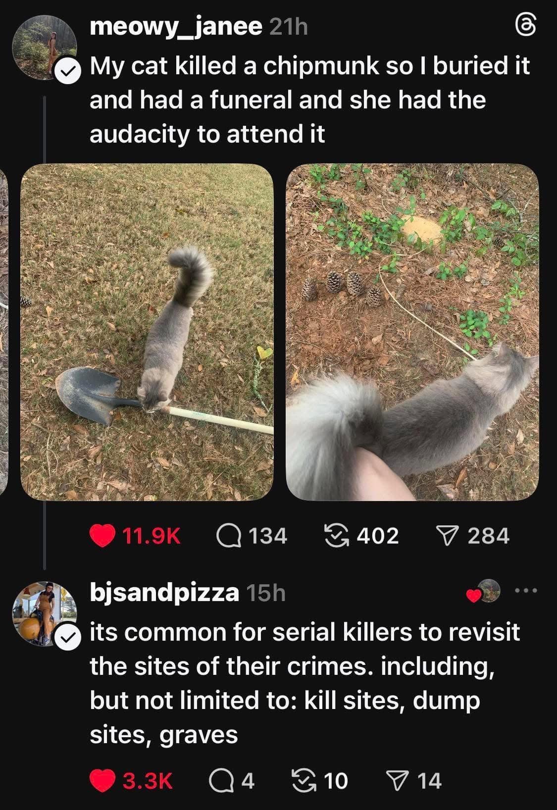 A dark humor meme dump post from meowy_janee about their cat killing a chipmunk. The owner buried the victim and held a small funeral, only for the cat to show up and watch. A reply from bjsandpizza notes: "its common for serial killers to revisit the sites of their crimes."