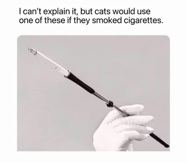 A sophisticated funny meme showing a white-gloved hand holding an extremely long, vintage-style black and silver cigarette holder. The text reads, "I can't explain it, but cats would use one of these if they smoked cigarettes."