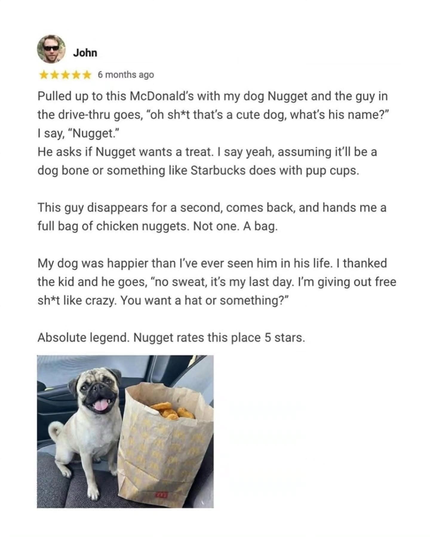 A wholesome and legendary story from a meme dump. A Google Review by "John" details how a McDonald's employee on his last day gave John's dog, Nugget, an entire bag of free chicken nuggets. A photo shows a very happy pug sitting next to the oversized bag of food.